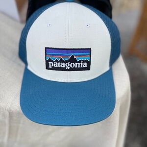 Patagonia Blue and White Cap